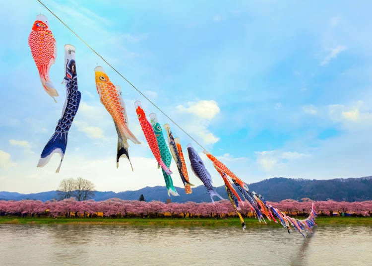 4. Kitakami Tenshochi Cherry Blossom Festival (Kitakami City, Iwate Prefecture)