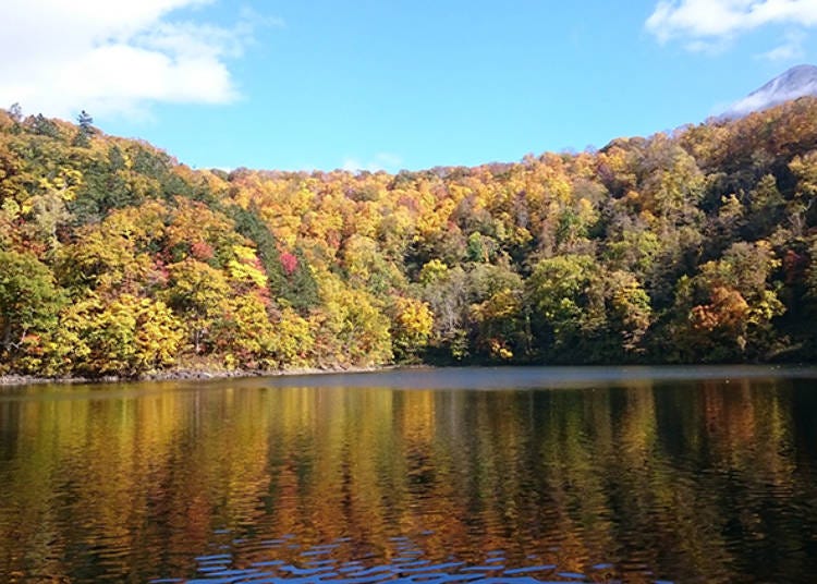 湖面に鮮やかな紅葉がその姿を映す。エメラルドグリーンに染まる夏の半月湖も素晴らしい