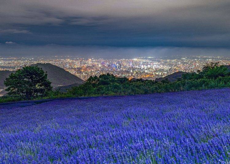 夜景専用の展望駐車場で夜景を楽しむ