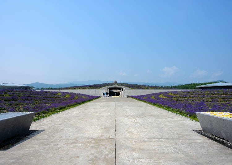 大仏殿の中には…