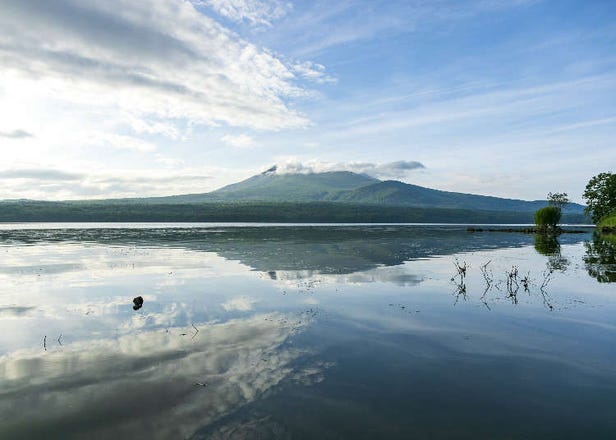 大沼国定公園でやるべきこと：四季折々の見どころとアクティビティ