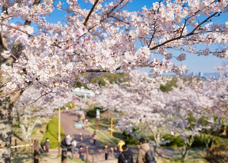 A popular place to enjoy a nature-themed day trip, about 20 kilometers from downtown Osaka