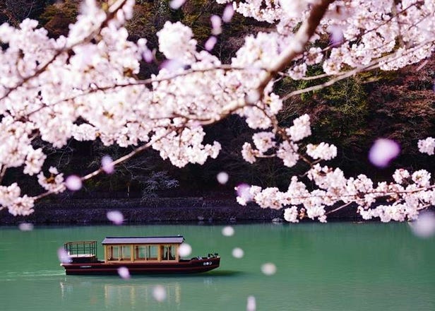 【2025年】桜の時期だけの贅沢！京都の桜名所に近いおすすめの極上旅館&ホテル10選