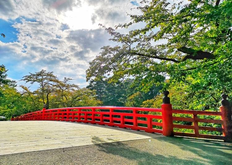 夏の「杉の大橋」
