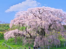 郡山周辺エリア