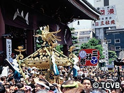 5月中旬 三社祭