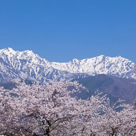 森林・山岳