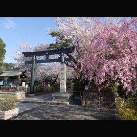 松陰神社