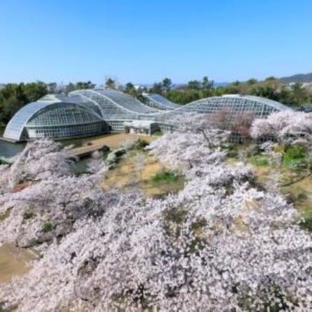 京都府立植物園