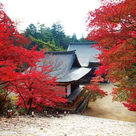 神護寺