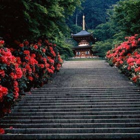 勝尾寺