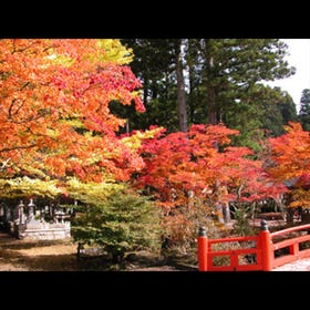 高野山