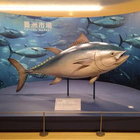 豊洲市場
