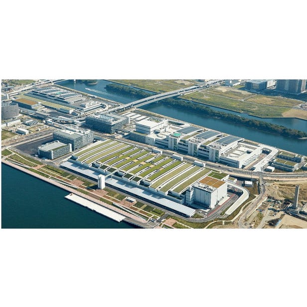 豊洲市場